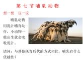 人教版八年级生物上册--1.7　哺乳动物（精品课件）
