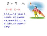人教版八年级生物上册--1.6鸟（课件）