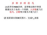 人教版八年级生物上册--1.6鸟（课件）