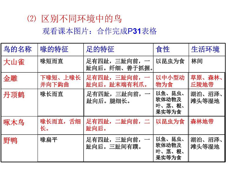 人教版八年级生物上册--1.6鸟（课件）第7页