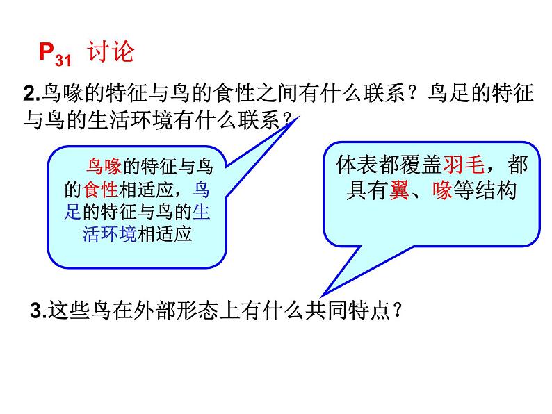 人教版八年级生物上册--1.6鸟（课件）08