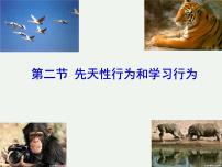 初中生物人教版 (新课标)八年级上册第二节 先天性行为和学习行为备课课件ppt