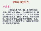 人教版八年级生物上册--2.2先天性行为和学习行为（精品课件）