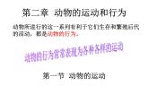 人教版八年级生物上册--2.1动物的运动（精品课件）