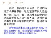 人教版八年级生物上册--2.1动物的运动（精品课件）