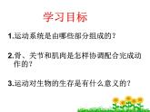 人教版八年级生物上册--2.1动物的运动（精品课件）