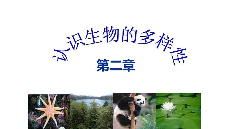 人教版八年级生物上册--第二章   认识生物的多样性（精品课件）01