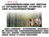 人教版八年级生物上册--第二章   认识生物的多样性（精品课件）