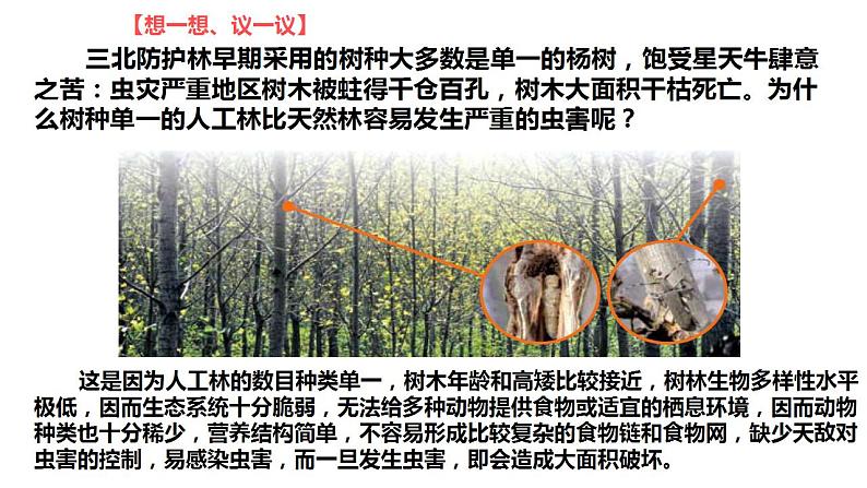 人教版八年级生物上册--第二章   认识生物的多样性（精品课件）02