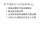 人教版八年级生物上册--第三节 软体动物和节肢动物（精品课件）