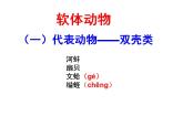 人教版八年级生物上册--第三节 软体动物和节肢动物（精品课件）