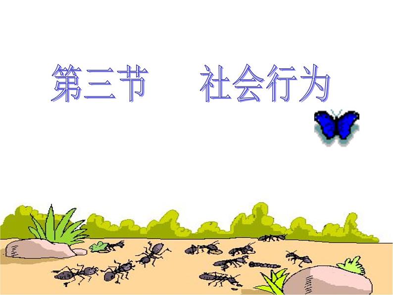 人教版八年级生物上册--第三节 社会行为（精品课件）01