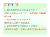 人教版八年级生物上册--4.1　细菌和真菌的分布（精品课件）