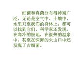 人教版八年级生物上册--4.1　细菌和真菌的分布（精品课件）