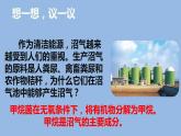 人教版八年级生物上册--4.5人类对细菌和真菌的利用（精品课件）