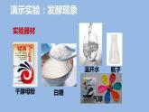 人教版八年级生物上册--4.5人类对细菌和真菌的利用（精品课件）