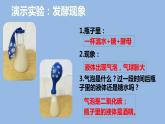 人教版八年级生物上册--4.5人类对细菌和真菌的利用（精品课件）