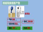 人教版八年级生物上册--4.5人类对细菌和真菌的利用（精品课件）