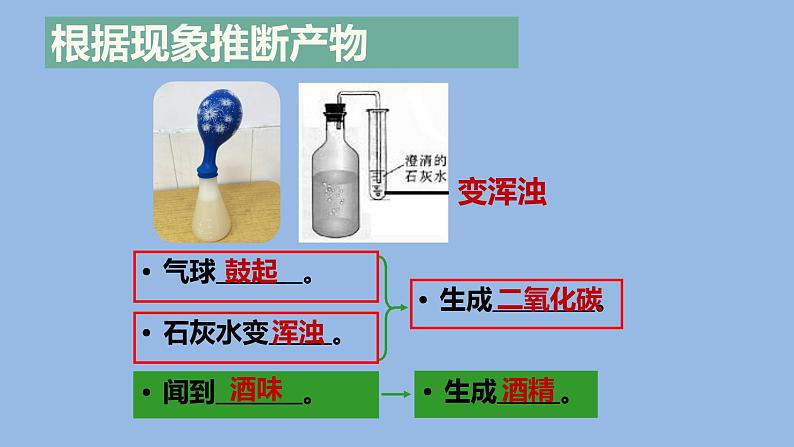 人教版八年级生物上册--4.5人类对细菌和真菌的利用（精品课件）第5页