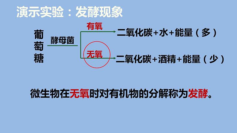 人教版八年级生物上册--4.5人类对细菌和真菌的利用（精品课件）第7页