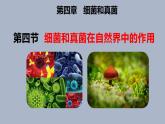 人教版八年级生物上册--4.4 细菌和真菌在自然界中的作用（精品课件）