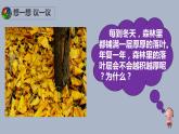 人教版八年级生物上册--4.4 细菌和真菌在自然界中的作用（精品课件）