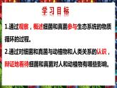 人教版八年级生物上册--4.4 细菌和真菌在自然界中的作用（精品课件）