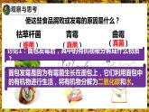 人教版八年级生物上册--4.4 细菌和真菌在自然界中的作用（精品课件）