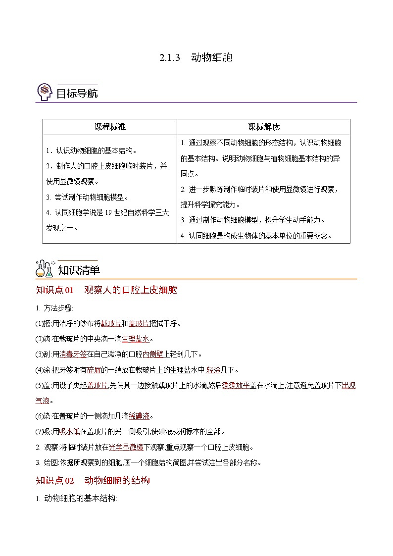 【同步讲义】人教版生物七年级上册--2.1.3《动物细胞》讲义01