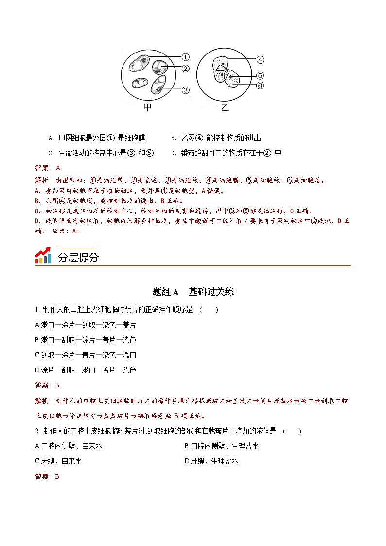 【同步讲义】人教版生物七年级上册--2.1.3《动物细胞》讲义03