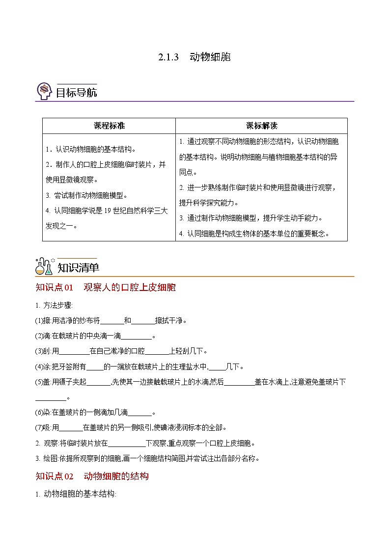 【同步讲义】人教版生物七年级上册--2.1.3《动物细胞》讲义01