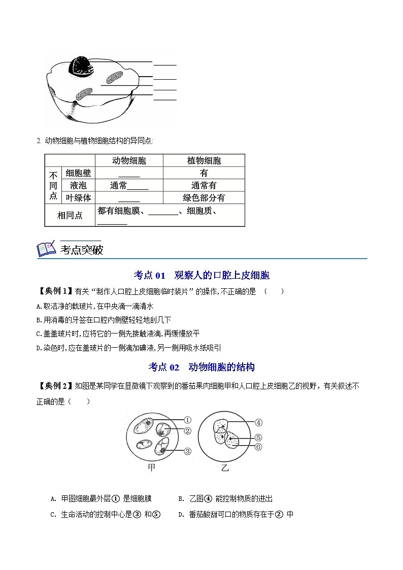 【同步讲义】人教版生物七年级上册--2.1.3《动物细胞》讲义02