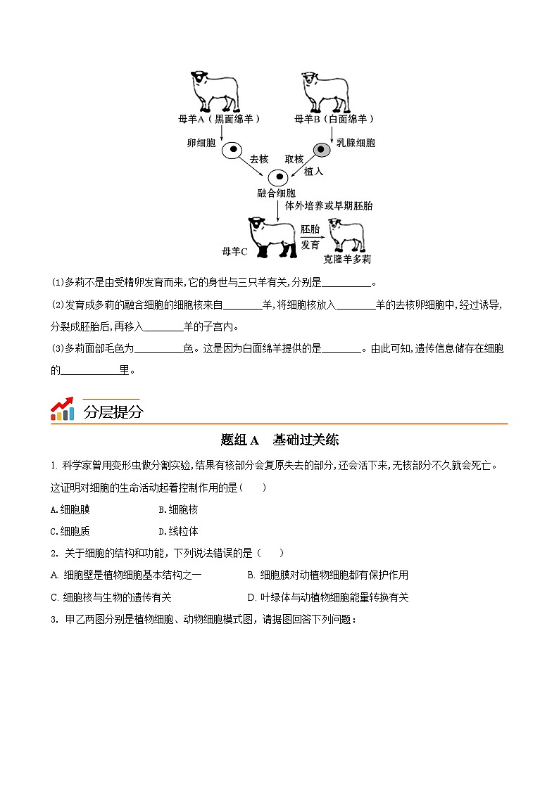 【同步讲义】人教版生物七年级上册--2.1.4《细胞的生活》讲义（原卷版）第3页