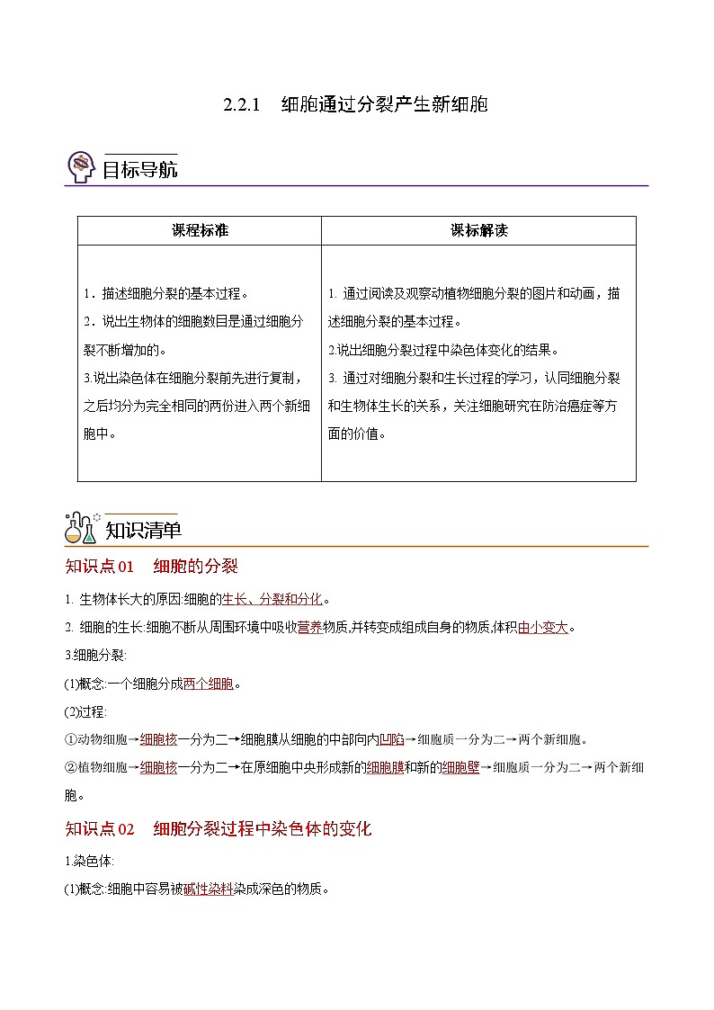 【同步讲义】人教版生物七年级上册--2.2.1《细胞通过分裂产生新细胞》讲义01