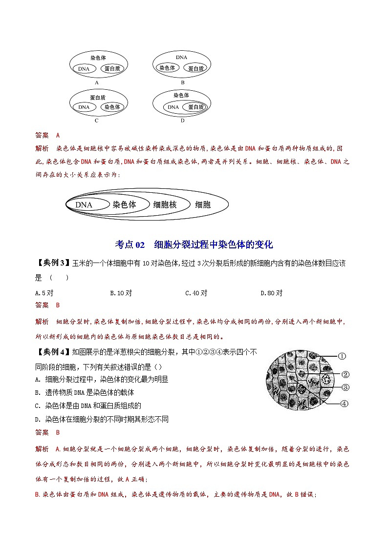 【同步讲义】人教版生物七年级上册--2.2.1《细胞通过分裂产生新细胞》讲义03