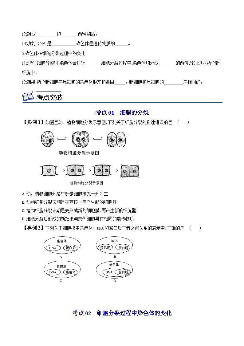【同步讲义】人教版生物七年级上册--2.2.1《细胞通过分裂产生新细胞》讲义02