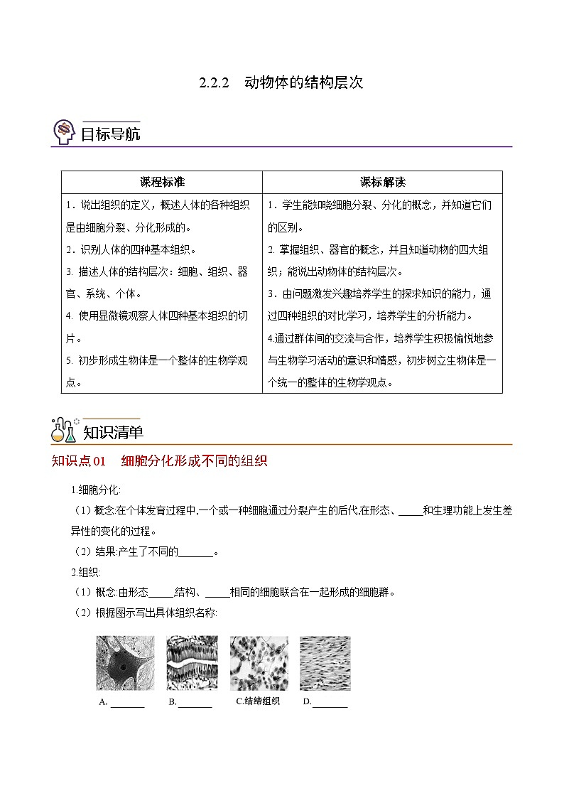 【同步讲义】人教版生物七年级上册--2.2.2《动物体的结构层次》讲义01