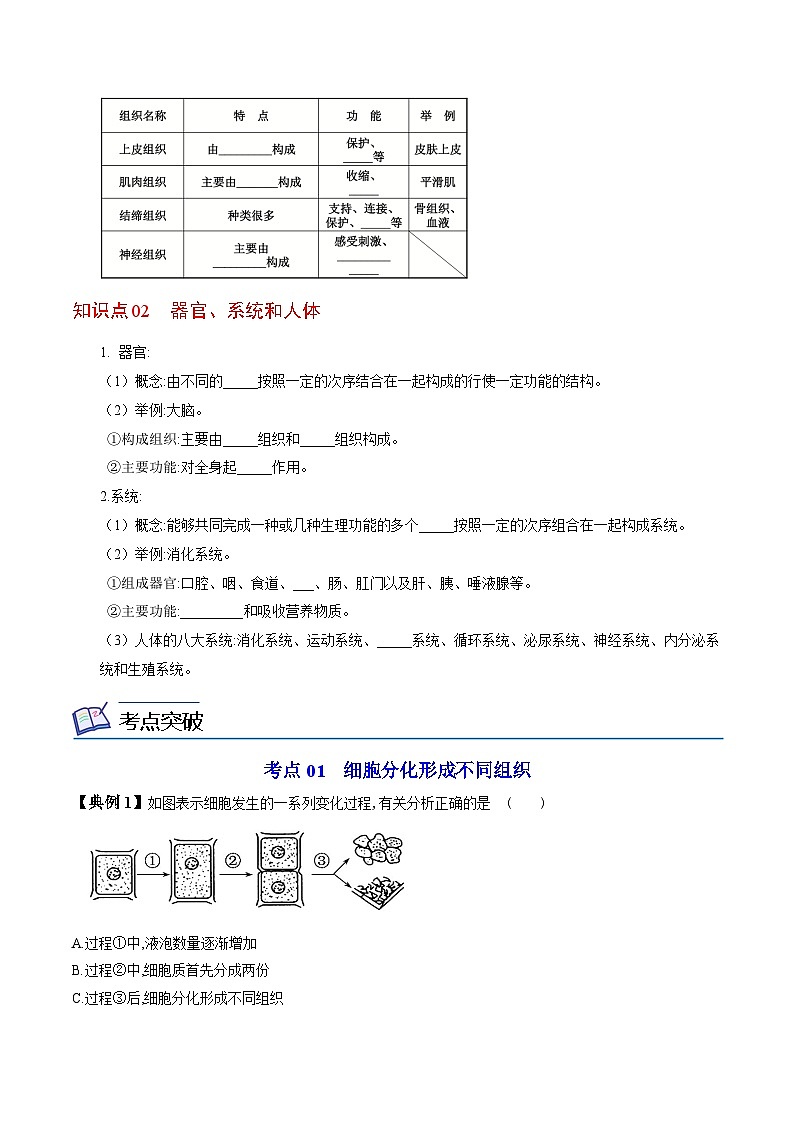 【同步讲义】人教版生物七年级上册--2.2.2《动物体的结构层次》讲义02