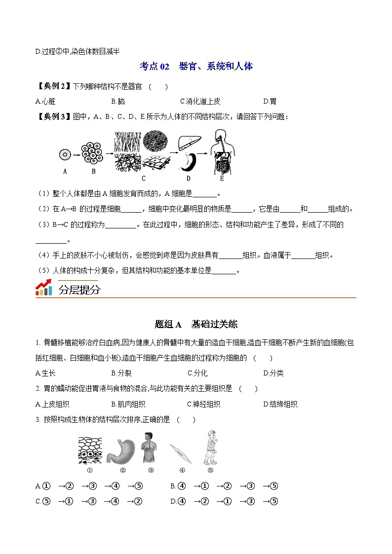 【同步讲义】人教版生物七年级上册--2.2.2《动物体的结构层次》讲义03