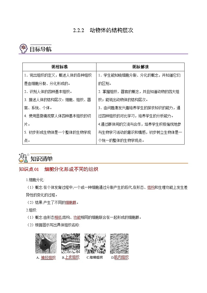 【同步讲义】人教版生物七年级上册--2.2.2《动物体的结构层次》讲义01