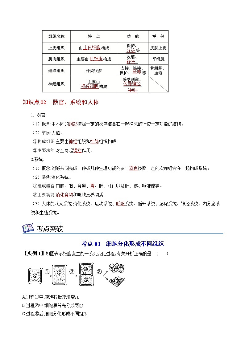 【同步讲义】人教版生物七年级上册--2.2.2《动物体的结构层次》讲义02
