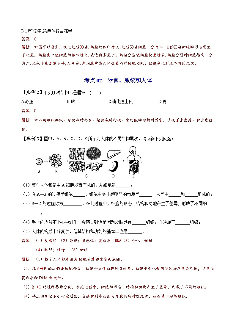 【同步讲义】人教版生物七年级上册--2.2.2《动物体的结构层次》讲义03