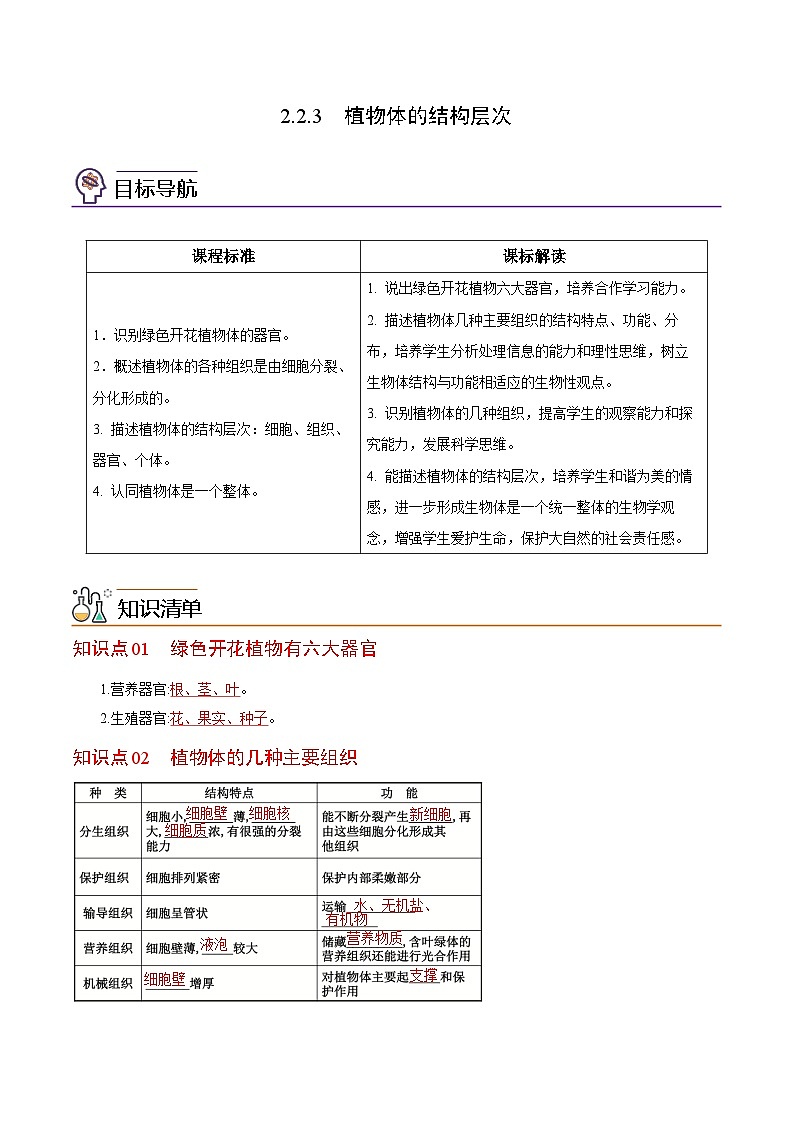 【同步讲义】人教版生物七年级上册--2.2.3《植物体的结构层次》讲义01