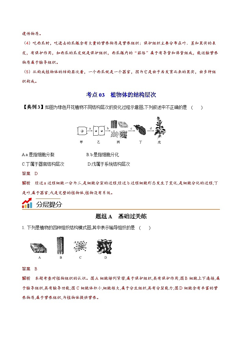 【同步讲义】人教版生物七年级上册--2.2.3《植物体的结构层次》讲义03
