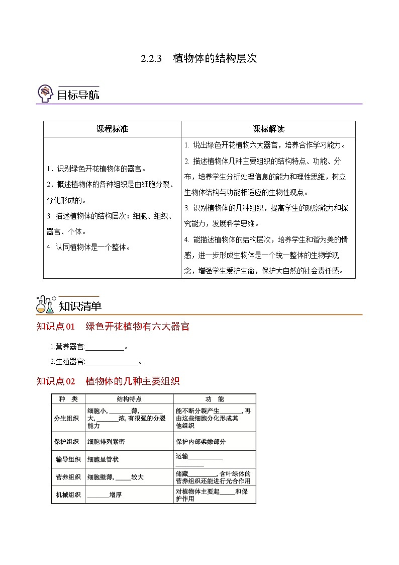 【同步讲义】人教版生物七年级上册--2.2.3《植物体的结构层次》讲义01
