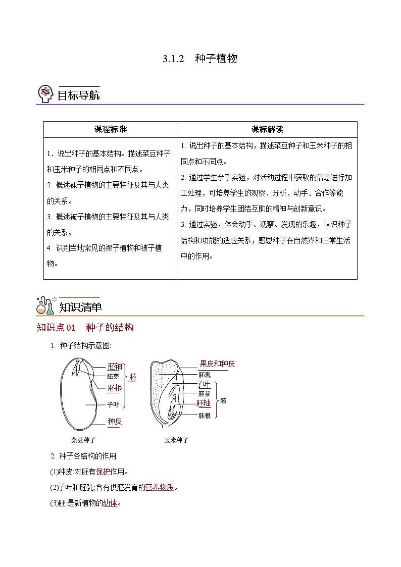【同步讲义】人教版生物七年级上册--3.1.2《种子植物》讲义01