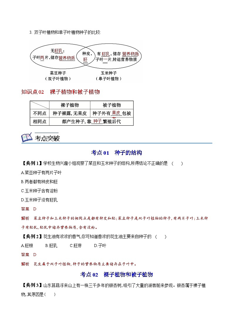 【同步讲义】人教版生物七年级上册--3.1.2《种子植物》讲义02