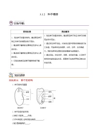 人教版 (新课标)七年级上册第二节 种子植物精品测试题