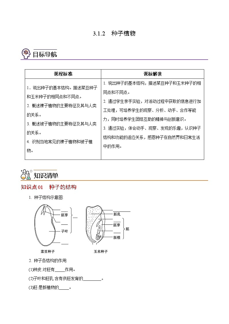 【同步讲义】人教版生物七年级上册--3.1.2《种子植物》讲义01