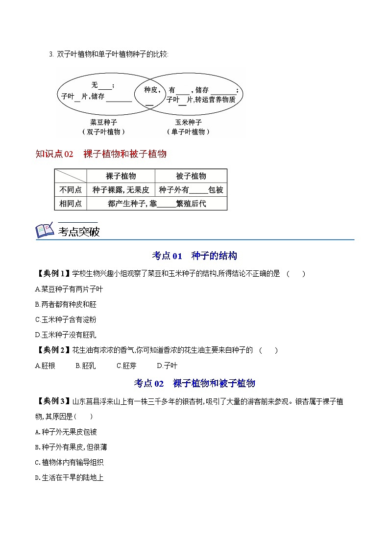 【同步讲义】人教版生物七年级上册--3.1.2《种子植物》讲义02